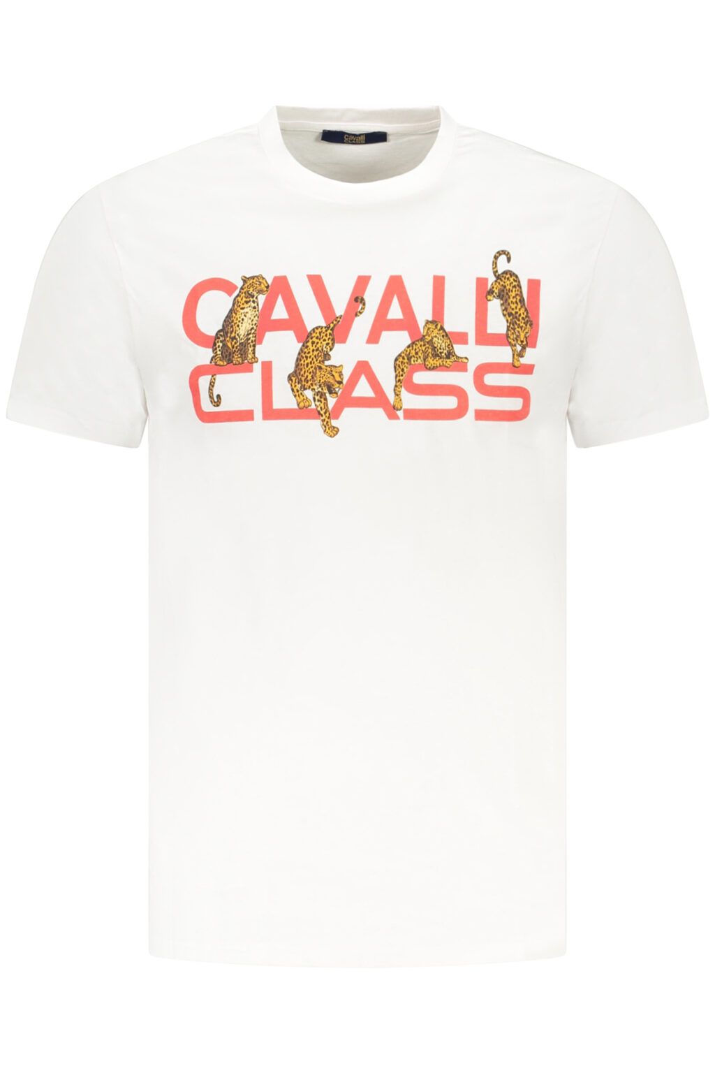 CAVALLI CLASS balti vyriški marškinėliai trumpomis rankovėmis