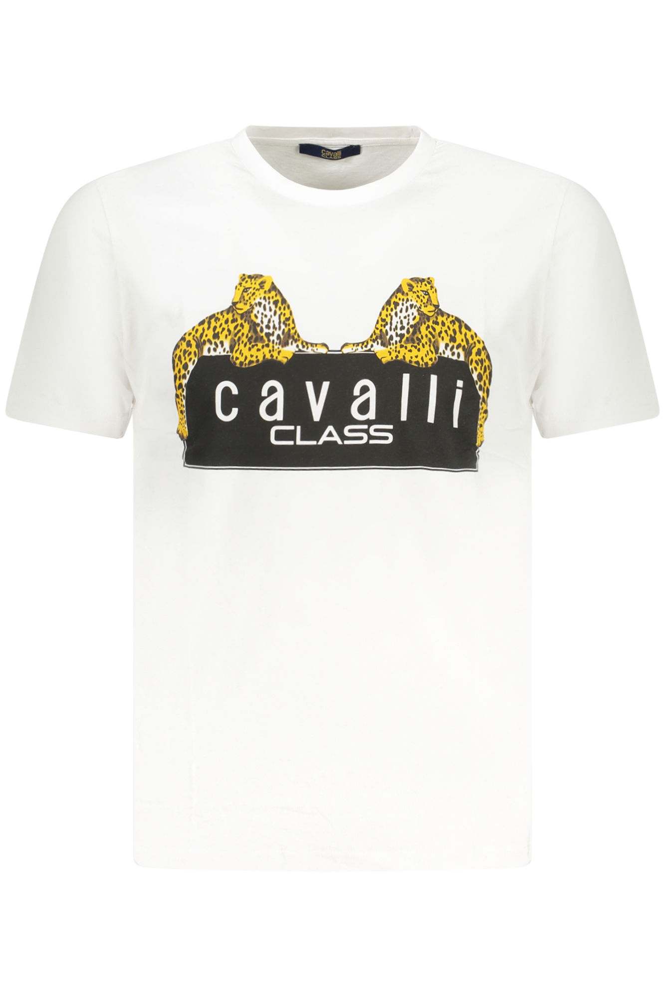 CAVALLI CLASS vyriški marškinėliai trumpomis rankovėmis, balti CAVALLI CLASS vyriški marškinėliai trumpomis rankovėmis, balti
