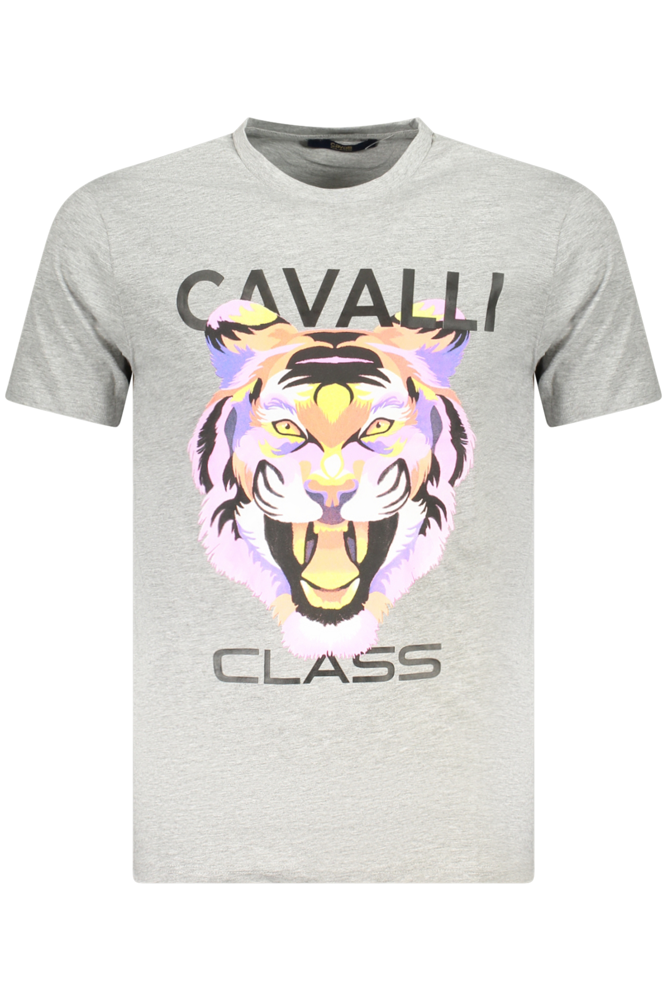 CAVALLI CLASS pilki vyriški marškinėliai trumpomis rankovėmis CAVALLI CLASS pilki vyriški marškinėliai trumpomis rankovėmis