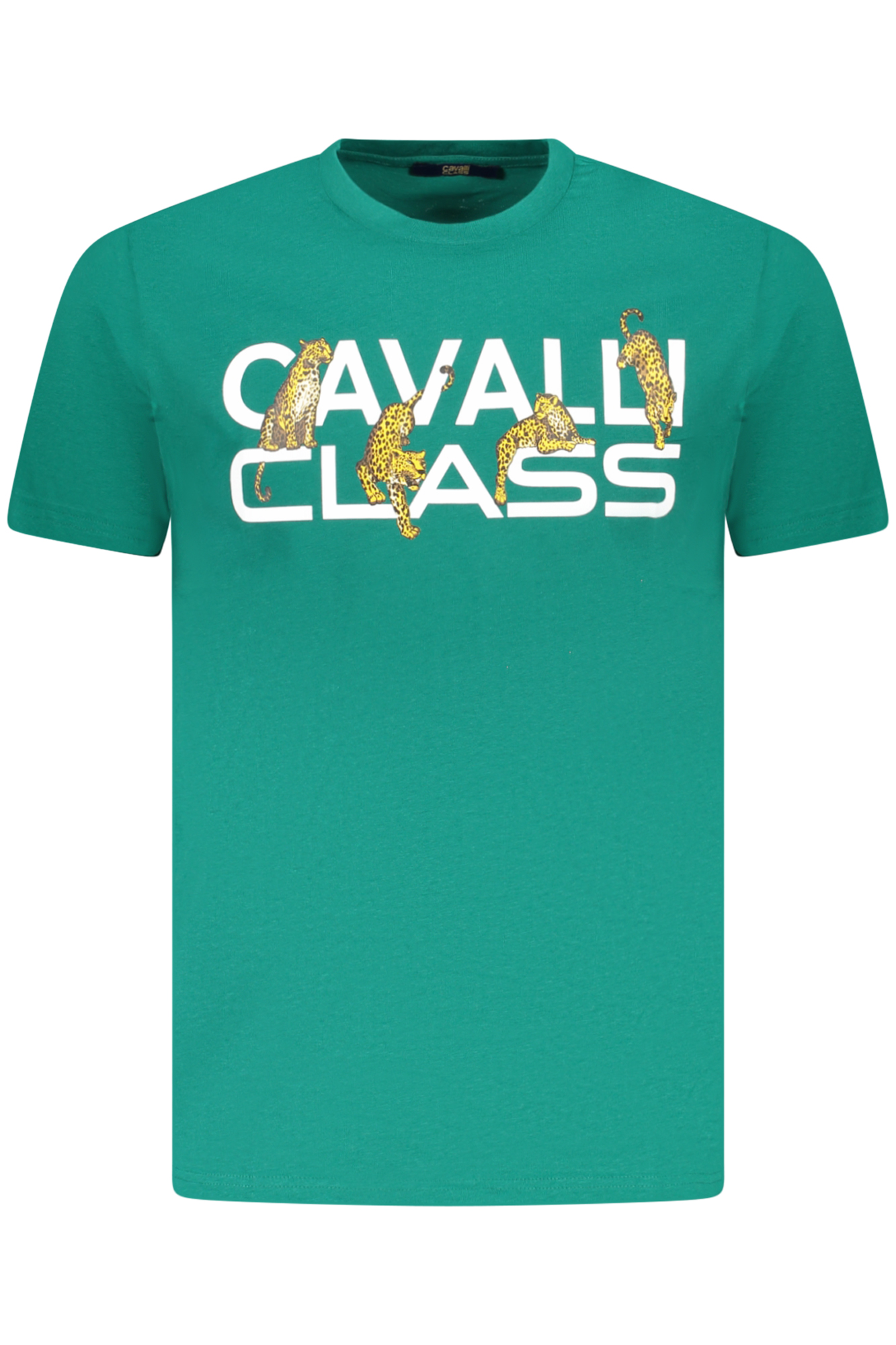 CAVALLI CLASS žali vyriški marškinėliai trumpomis rankovėmis CAVALLI CLASS žali vyriški marškinėliai trumpomis rankovėmis
