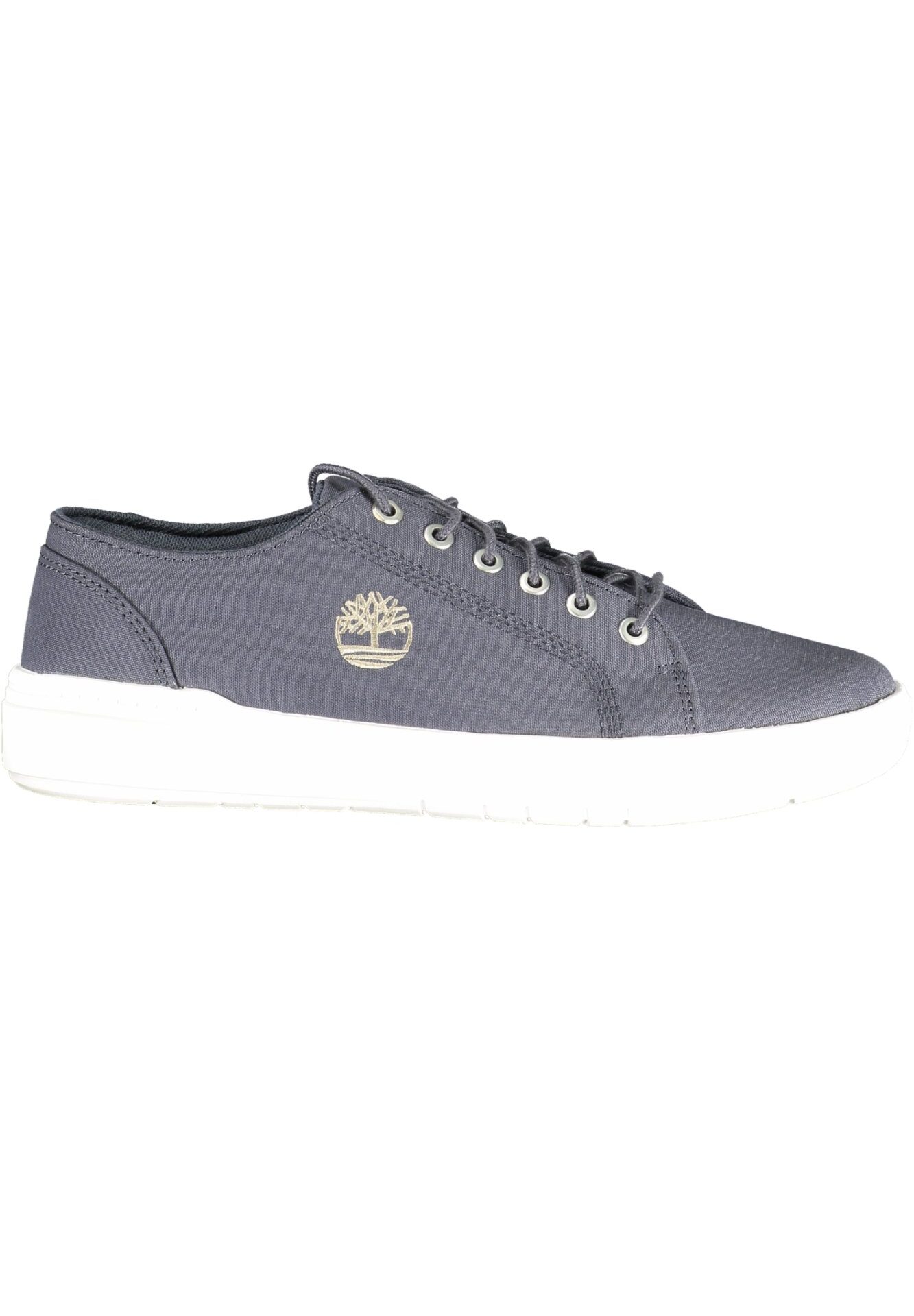 TIMBERLAND MEN'S BLUE SPORTS SHOES